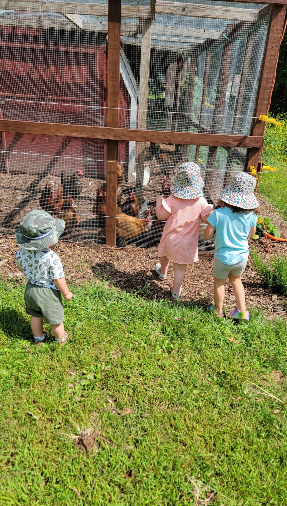 694edcacddc71_pea wees nature walks